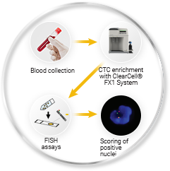 Characterisation of CTC